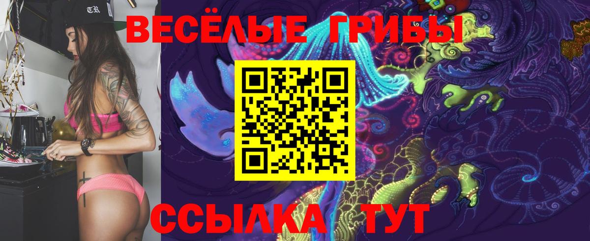 Галлюциногенные грибы Psilocybine cubensis  Галлюциногенные грибы Psilocybe  Обь  Вход с VPN 